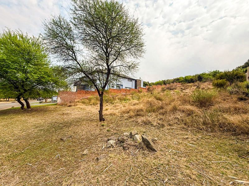 A view of a vacant residential plot featuring natural vegetation, mature trees, and a brick boundary wall bordering the property.