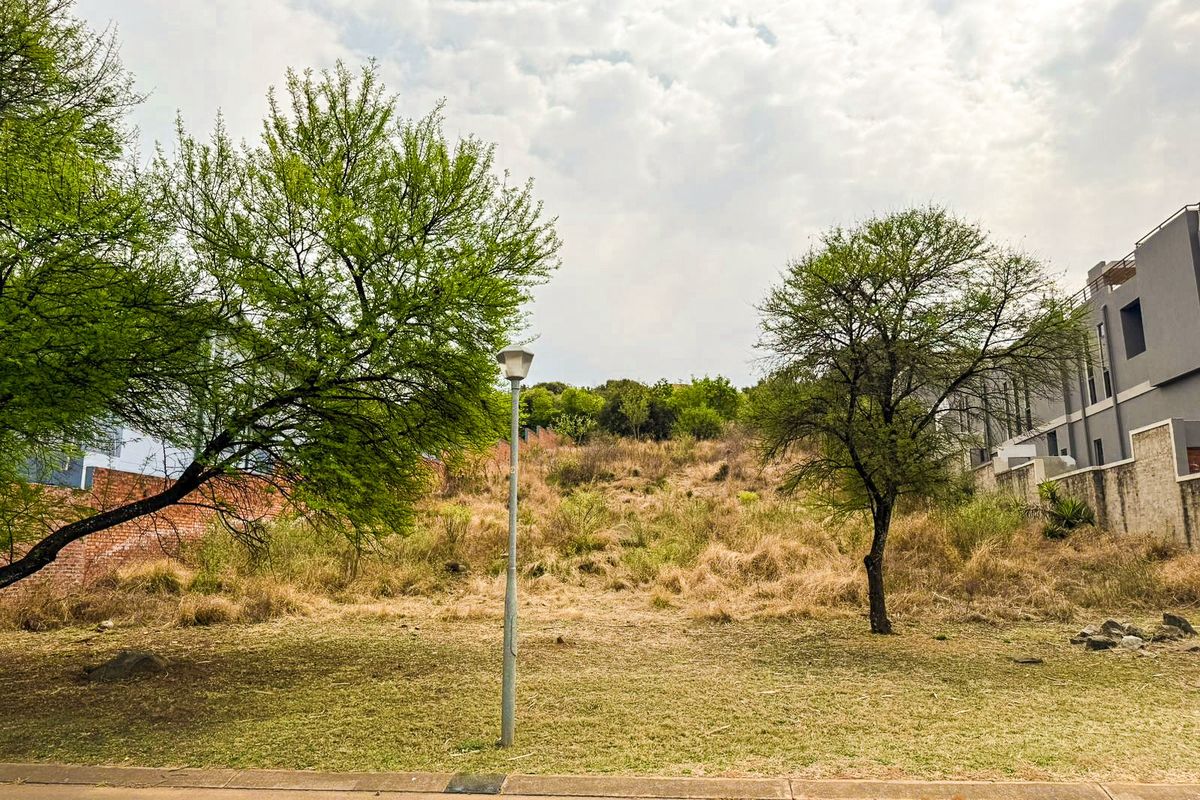 A vacant residential plot featuring natural vegetation, mature trees, and a street-level view with adjacent boundary walls.