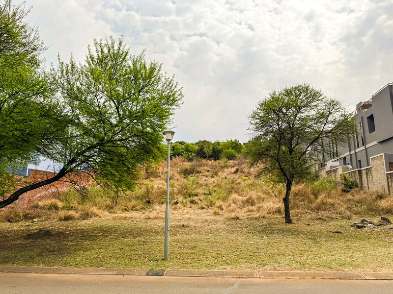 A vacant residential plot featuring natural vegetation, mature trees, and a street-level view with adjacent boundary walls.