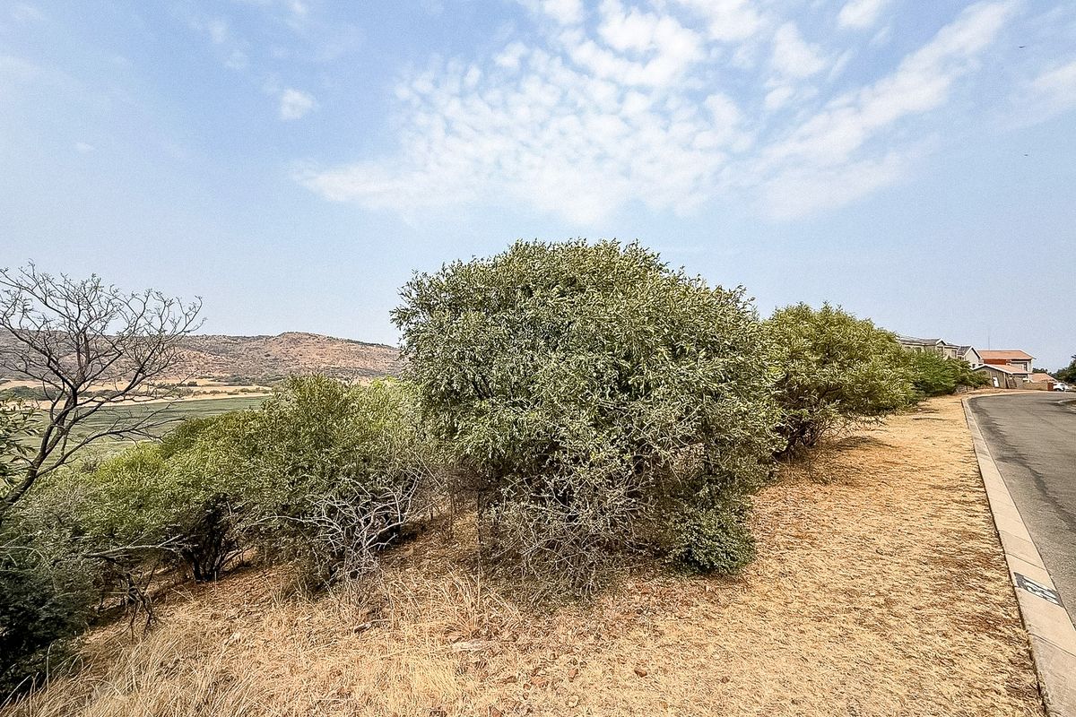 A view of the street frontage and natural landscape bordering the vacant residential land.