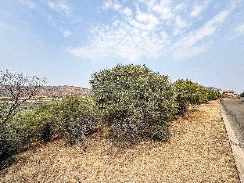 A view of the street frontage and natural landscape bordering the vacant residential land.