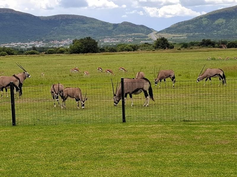 A scenic view of a grassy residential plot featuring wire mesh perimeter fencing and distant mountain vistas.