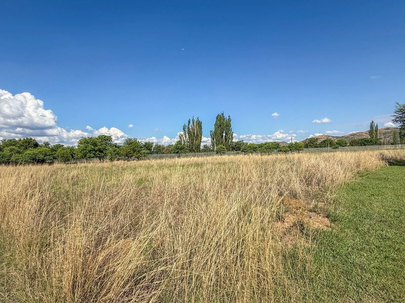 A view of a vacant residential plot featuring tall dry grass, mature trees in the background, and perimeter fencing.