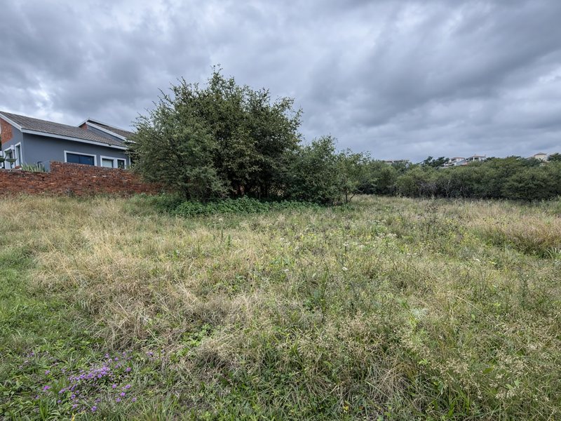 A view of a vacant residential plot featuring overgrown grass, mature trees, and a brick boundary wall adjacent to a neighboring property.