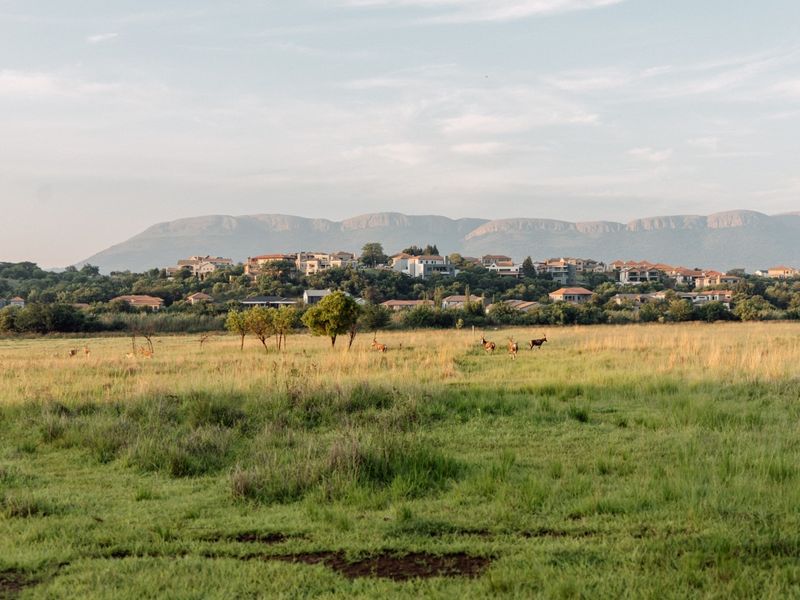 A scenic view of an expansive grassy field with a mountain range and residential estate in the background.