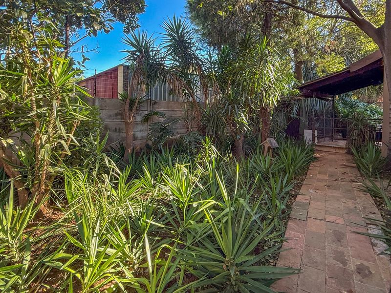 A lush, established garden featuring a paved walkway, mature trees, and a concrete boundary wall, leading to a covered patio area.