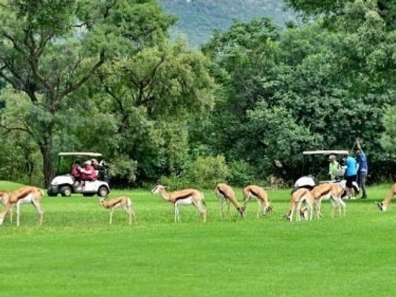 A scenic view of a well-maintained green landscape featuring mature trees and local wildlife, characteristic of a residential estate setting.