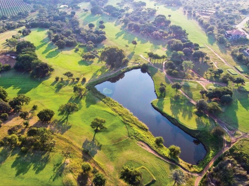 Aerial view of a residential golf estate featuring expansive green fairways, mature trees, and a central water feature.