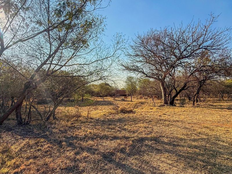A view of the vacant residential land featuring natural vegetation and mature trees under a clear sky.