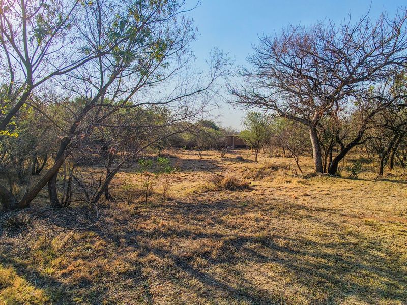 A view of the vacant residential land featuring natural vegetation and mature trees.