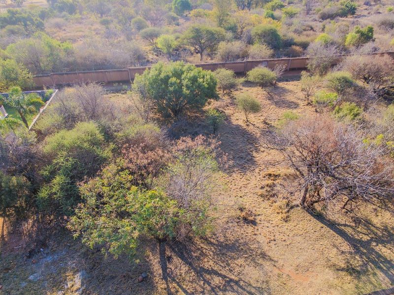 Aerial view of a vacant residential plot featuring mature trees, natural vegetation, and a perimeter boundary wall.