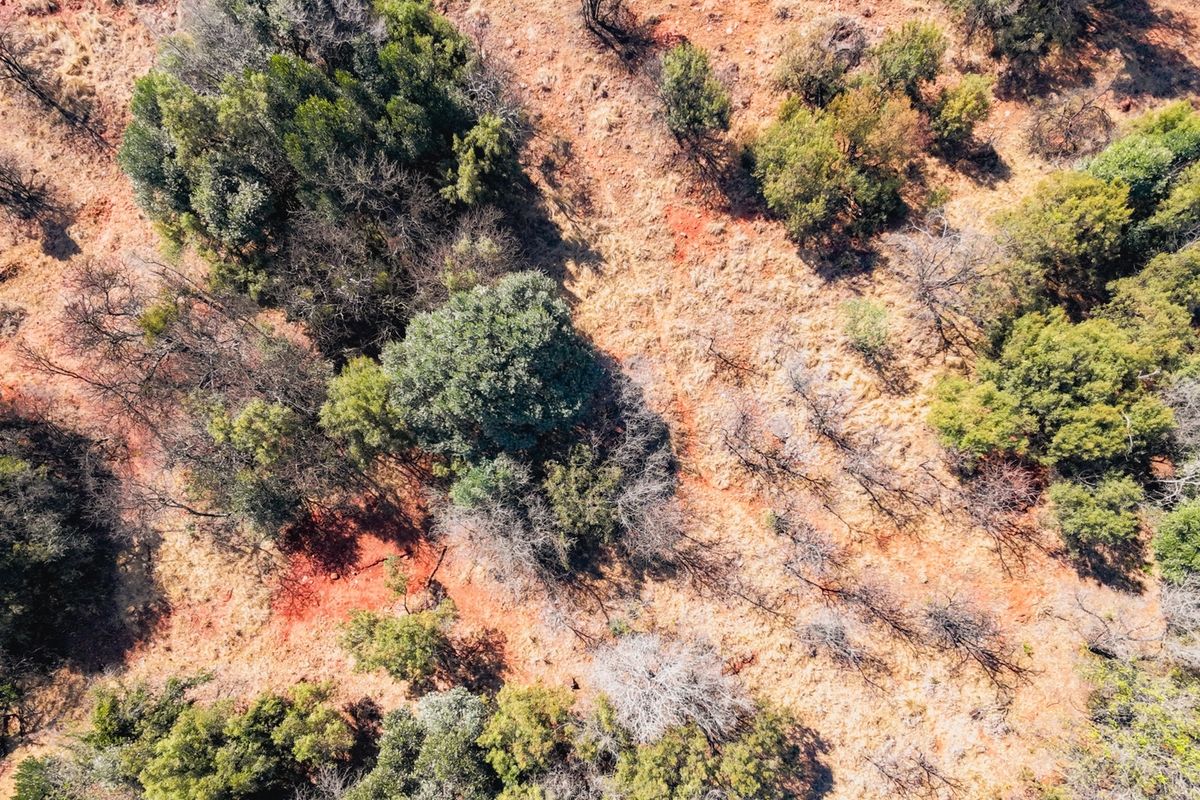 An aerial view of the vacant residential land featuring natural vegetation and native trees across the terrain.
