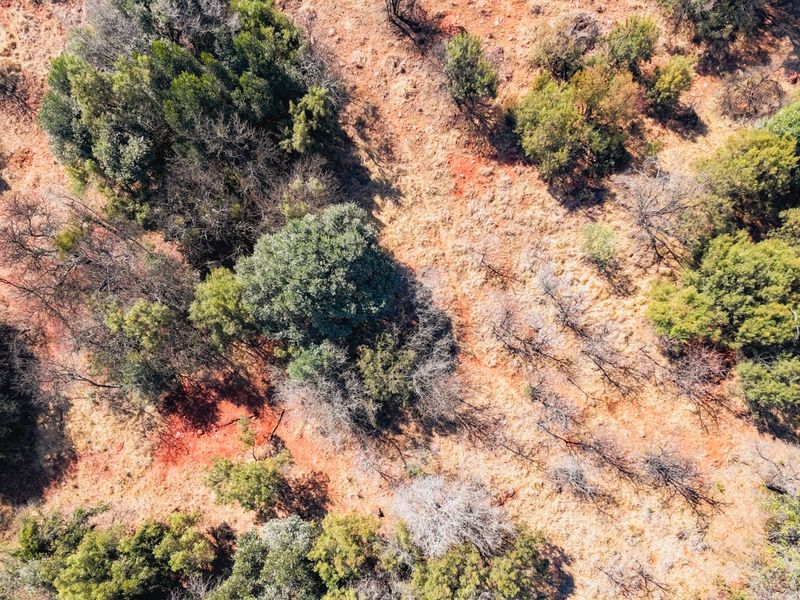 An aerial view of the vacant residential land featuring natural vegetation and native trees across the terrain.