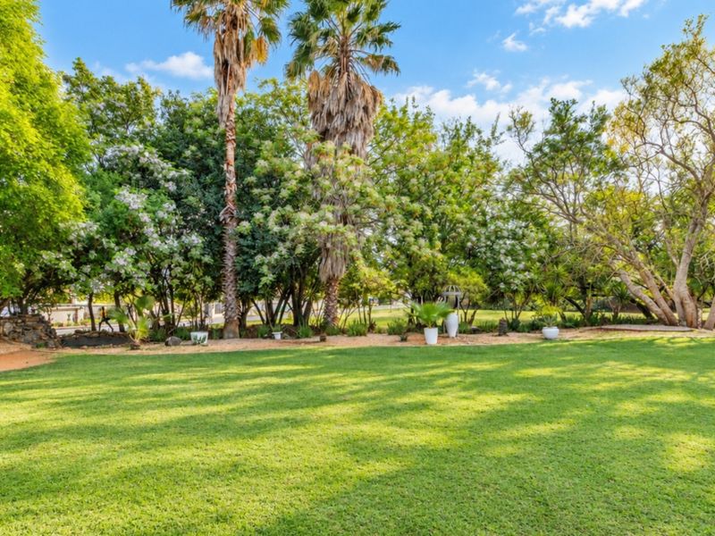 A well-maintained, spacious garden featuring a lush green lawn, mature trees, and established palm trees providing a serene outdoor setting.