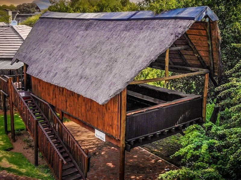 An elevated timber bird hide structure featuring a traditional thatched roof, accessible via a wooden staircase, situated within a landscaped residential garden setting.