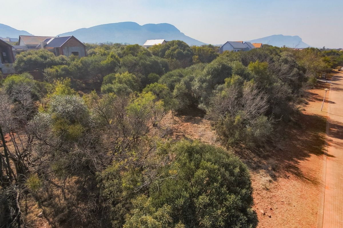 Aerial view of a vacant residential plot featuring established indigenous vegetation and an adjacent paved walkway in a scenic estate setting.