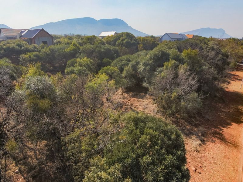 Aerial view of a vacant residential plot featuring established indigenous vegetation and an adjacent paved walkway in a scenic estate setting.