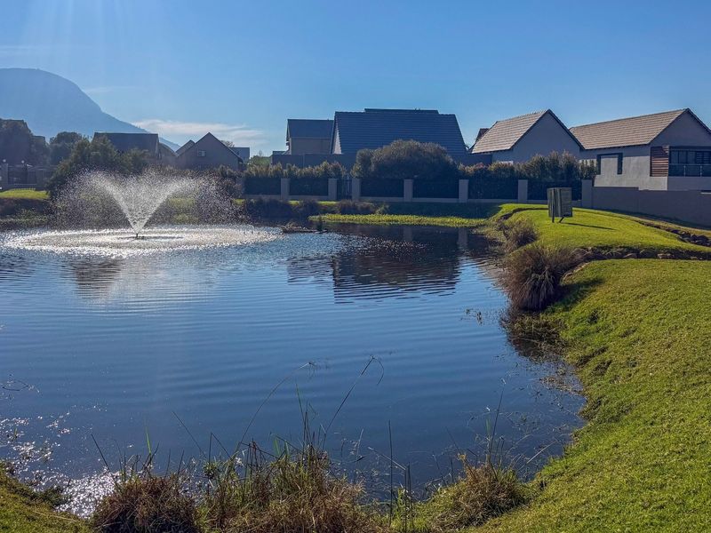 A scenic view of a residential estate pond featuring a central water fountain, manicured lawns, and surrounding residential properties.