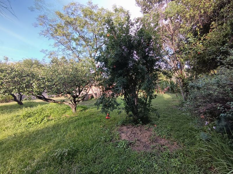 Income Generating Smallholding with 7 Garden Cottages – A Rare Investment Opportunity - Photo 10