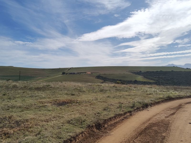 Klein Karoo - Photo 7