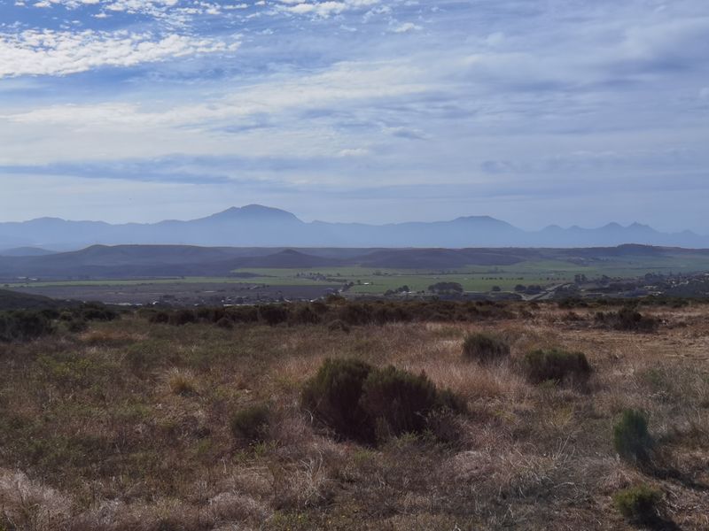 Klein Karoo - Photo 6