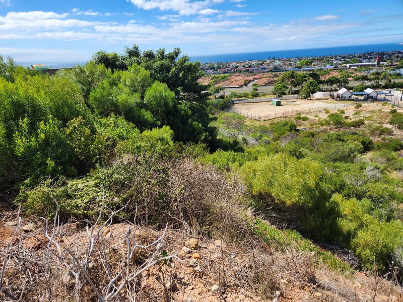 Vacant Land/Plot for sale in Menkenkop,Hartenbos. - Photo 8