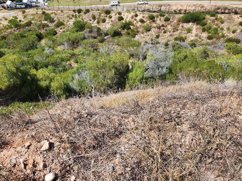 Vacant Land/Plot for sale in Menkenkop,Hartenbos. - Photo 7