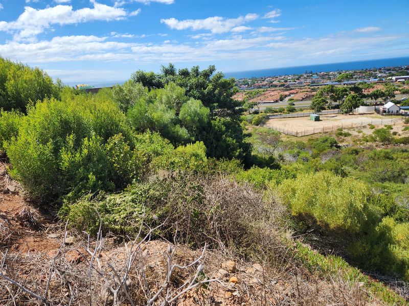 Vacant Land/Plot for sale in Menkenkop,Hartenbos. - Photo 4