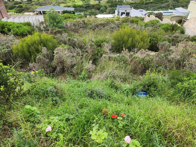 Vacant stand for sale. - Photo 3