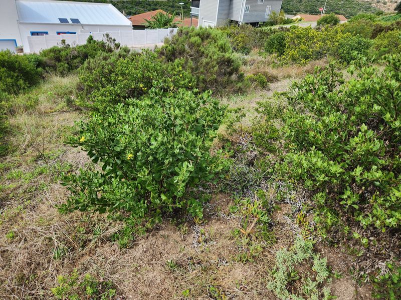 Vacant land in Island view - Photo 10