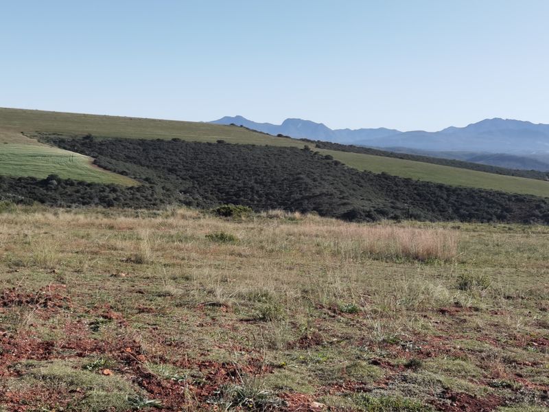 Stunning 3-Bedroom, 2.5-Bathroom Home in Hartland Lifestyle Estate - Photo 9