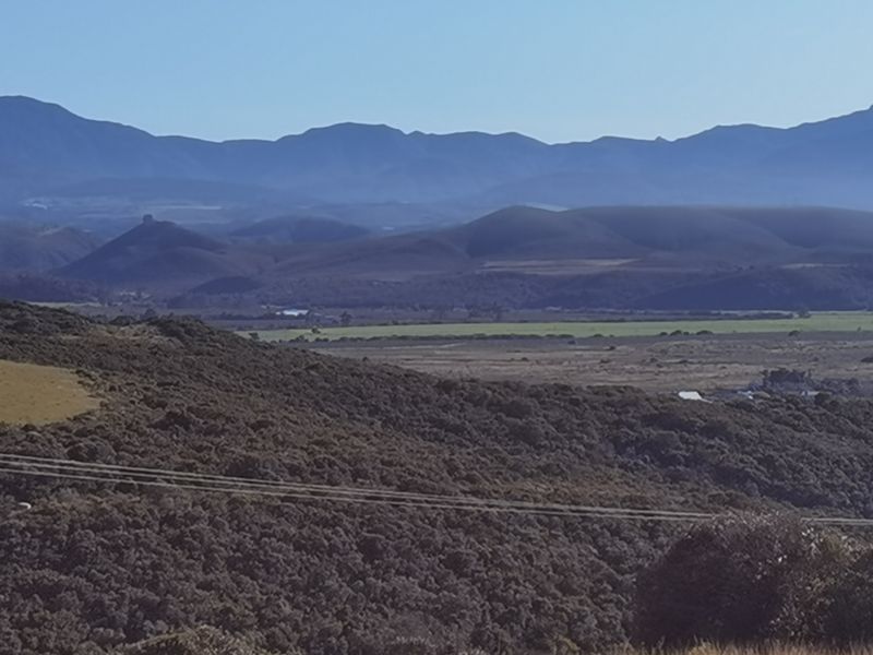 Stunning 3-Bedroom, 2.5-Bathroom Home in Hartland Lifestyle Estate - Photo 5