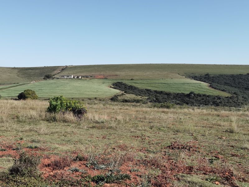 Stunning 3-Bedroom, 2.5-Bathroom Home in Hartland Lifestyle Estate - Photo 10