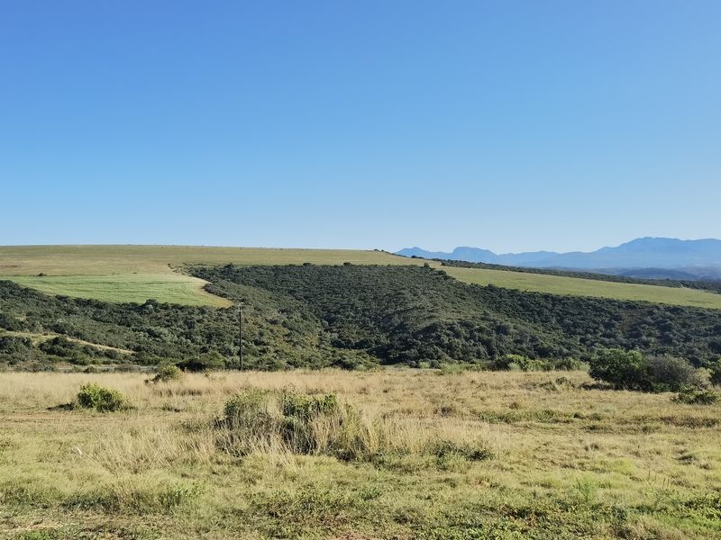 Stunning 3-Bedroom, 2.5-Bathroom Home in Hartland Lifestyle Estate - Photo 8