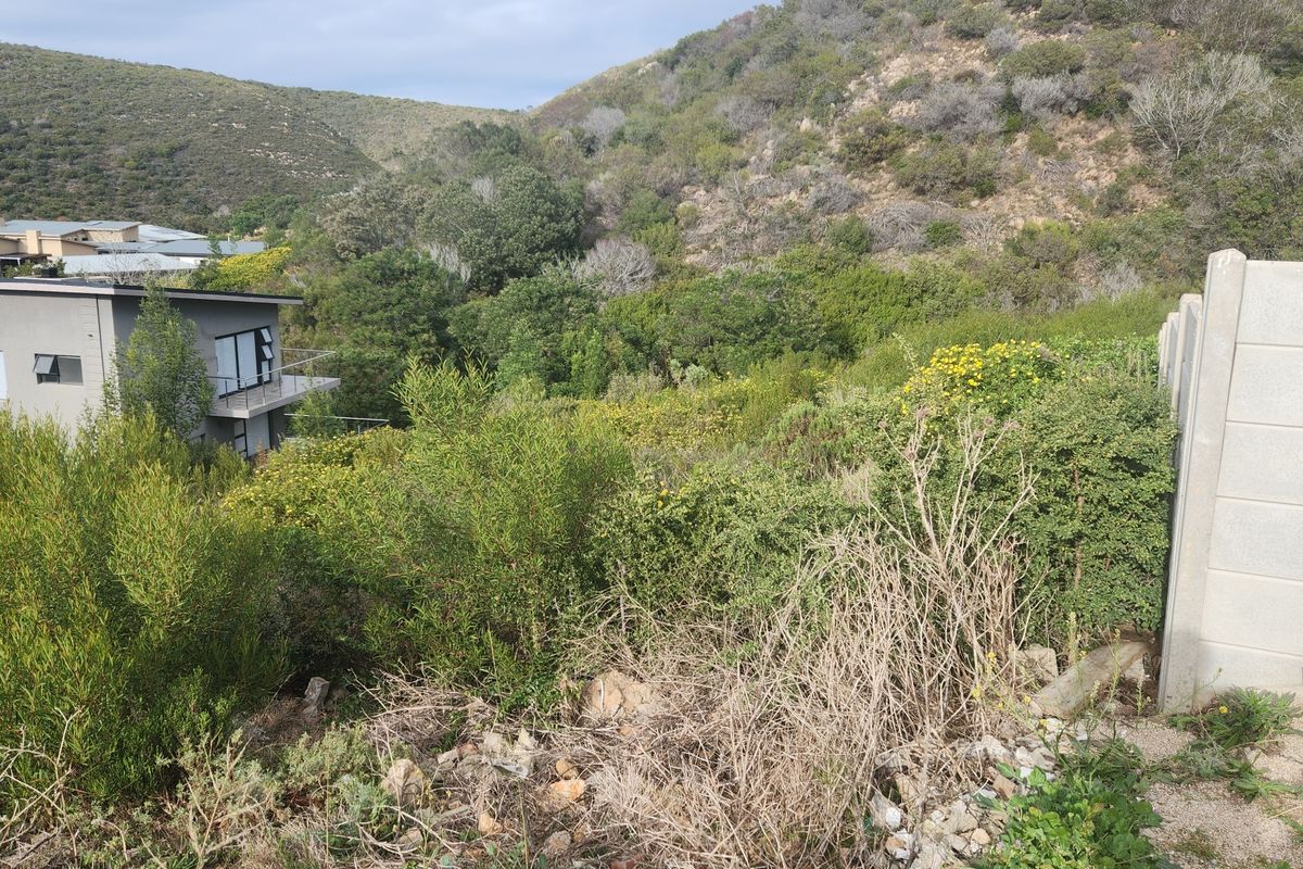 Prime Vacant Land in Island view. - Photo 3