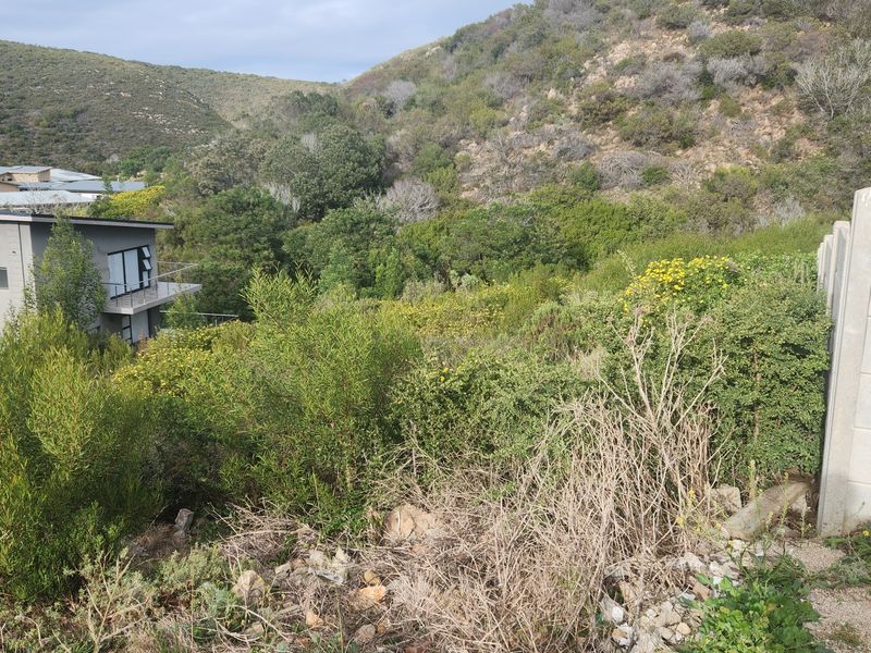 Prime Vacant Land in Island view. - Photo 3