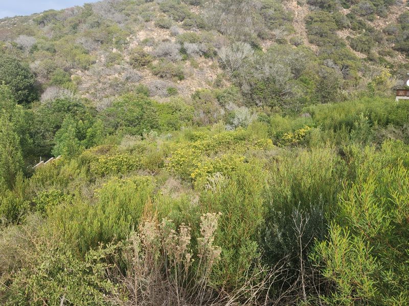 Prime Vacant Land in Island view. - Photo 6