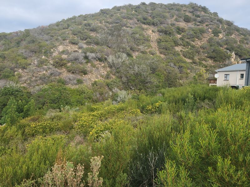 Prime Vacant Land in Island view. - Photo 8