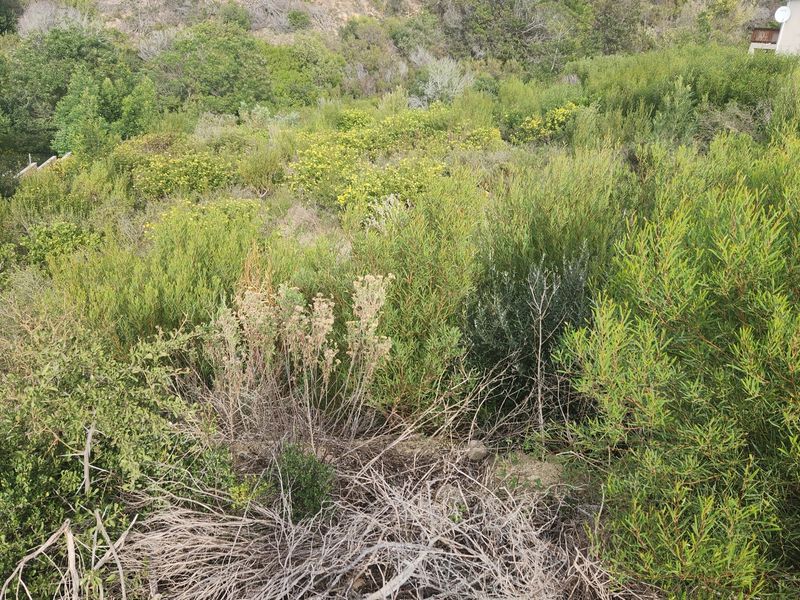 Prime Vacant Land in Island view. - Photo 7