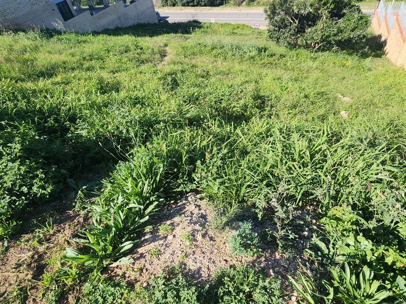 A sloped, undeveloped residential plot featuring overgrown vegetation and adjacent brick retaining walls, offering potential for future landscaping or construction.