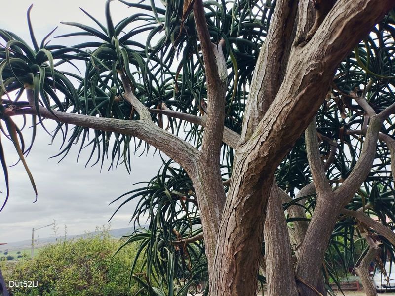 INVESTOR'S DREAM IN POPULAR FRAAIUITSIG - Photo 5