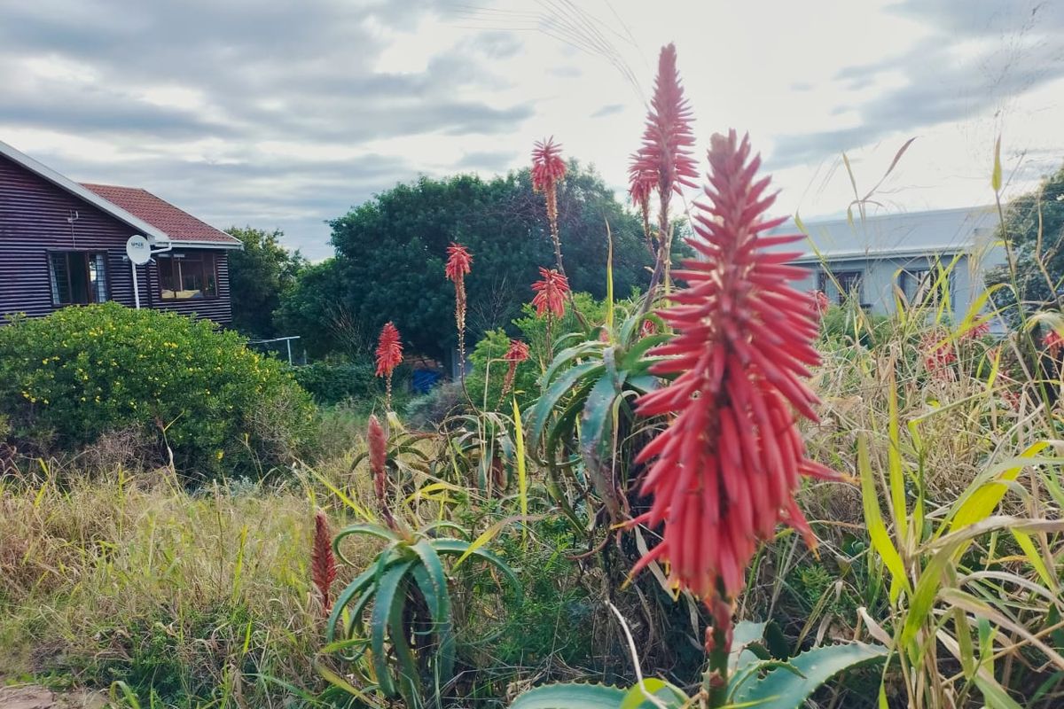 VACANT LAND FOR SALE IN FRAAIUITSIG, KLEIN BRAK RIVER - Photo 4