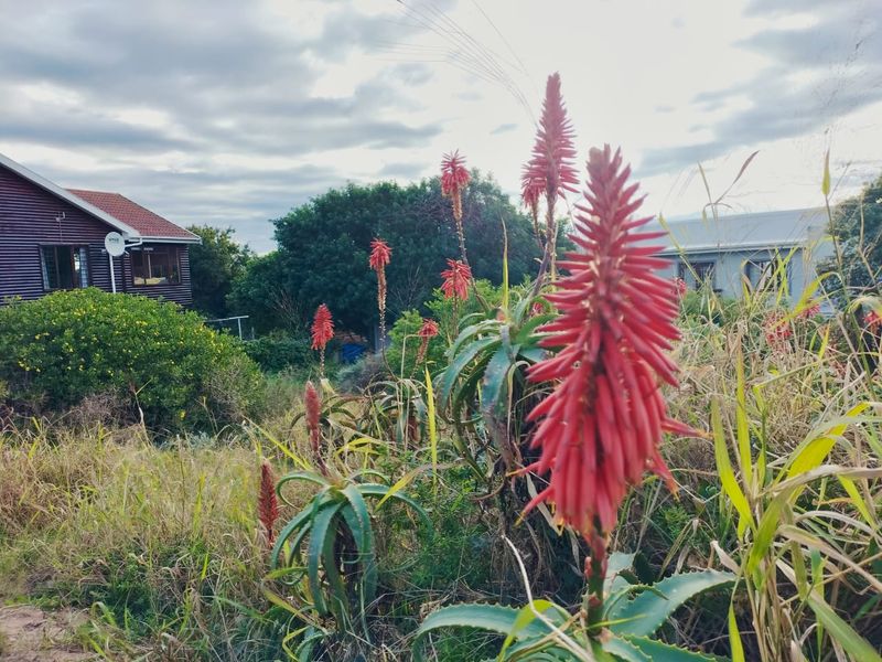 VACANT LAND FOR SALE IN FRAAIUITSIG, KLEIN BRAK RIVER - Photo 4