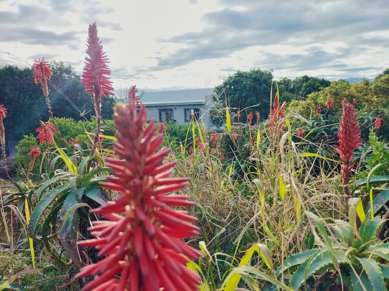 VACANT LAND FOR SALE IN FRAAIUITSIG, KLEIN BRAK RIVER - Photo 10