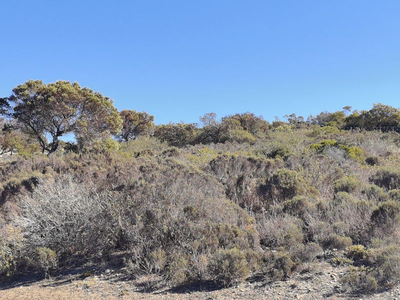 Prime Vacant Stand in NUM NUM Estate - Photo 8