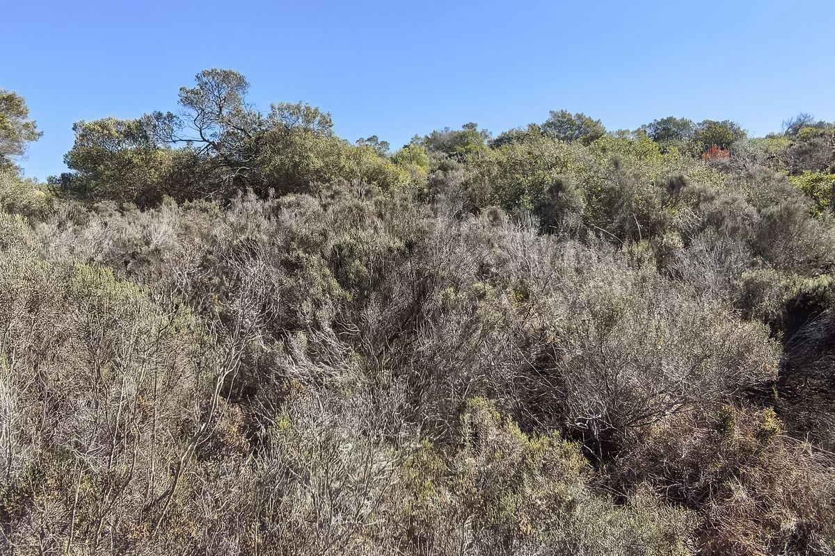 Prime Vacant Stand in NUM NUM Estate - Photo 3