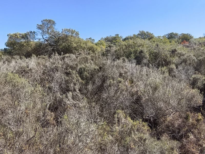 Prime Vacant Stand in NUM NUM Estate - Photo 3