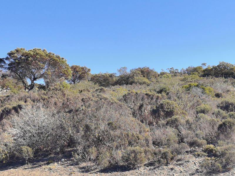 Prime Vacant Stand in NUM NUM Estate - Photo 9