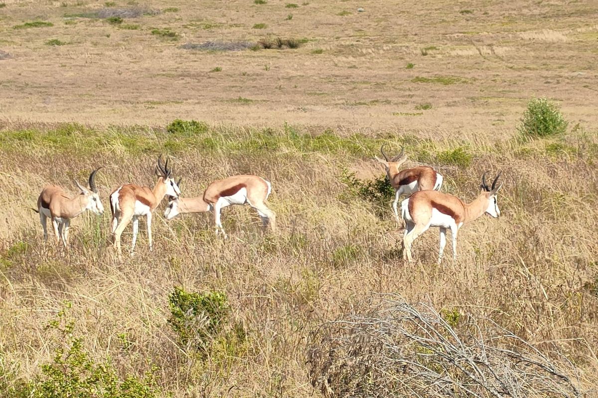 Building package only, Excluding land and ground works. - Photo 4