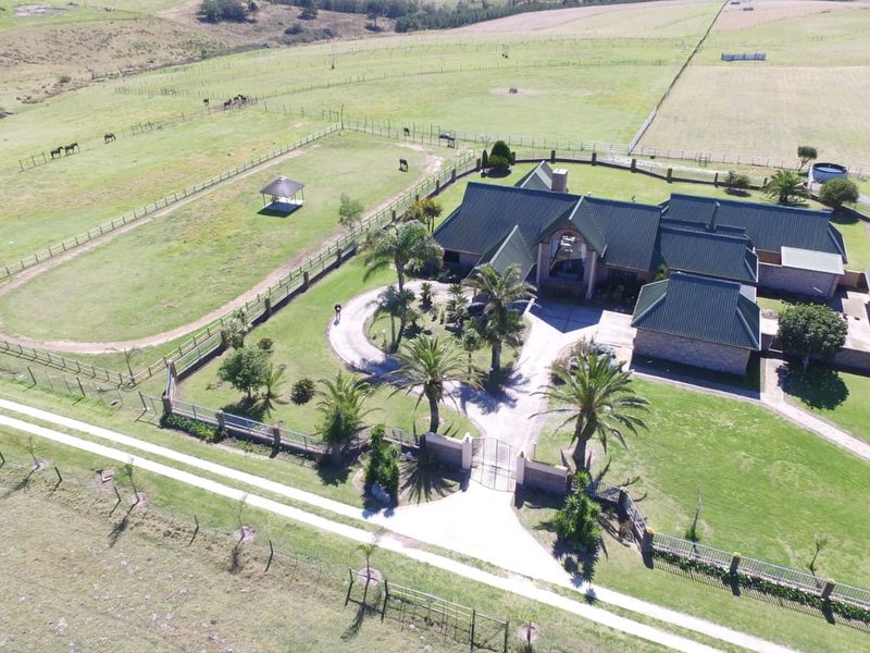 Aerial view of a large farm property featuring a main residence with a metal roof, paved driveway, landscaped gardens, and extensive fenced paddocks.